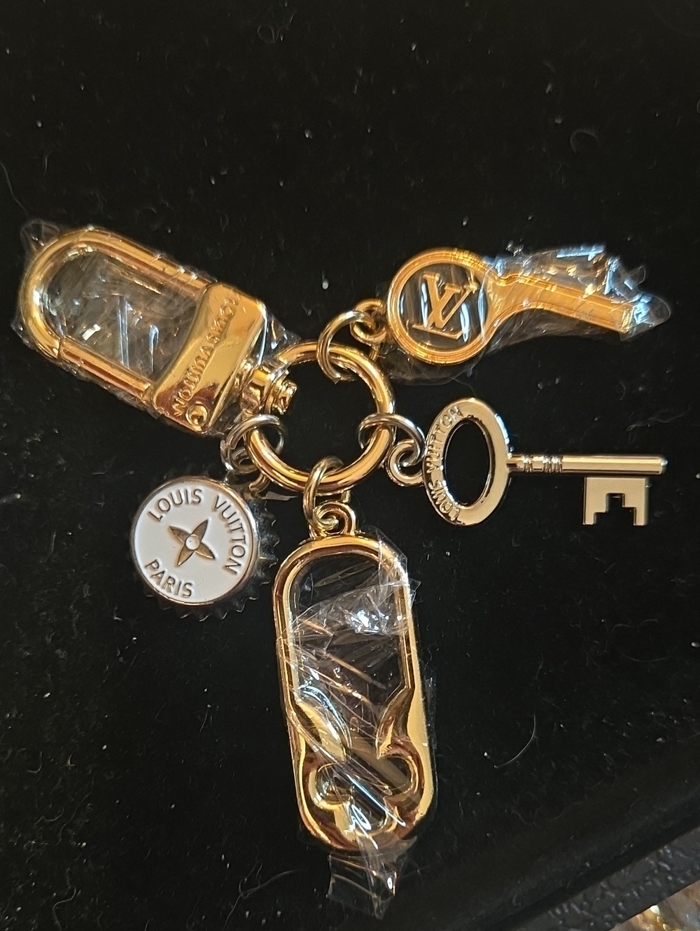 L V Keychain Bag Charm Set Of 5 Gold & Silver Logo Bottle Opener Key Chain